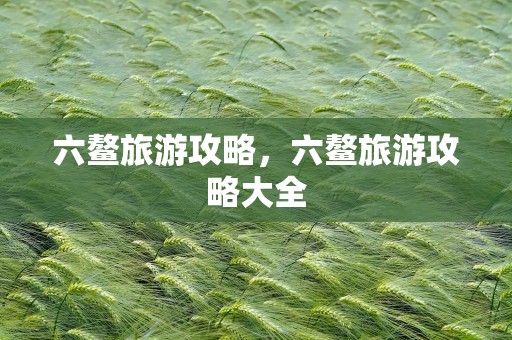 六鳌旅游攻略，六鳌旅游攻略大全