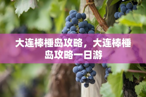 大连棒棰岛攻略，大连棒棰岛攻略一日游