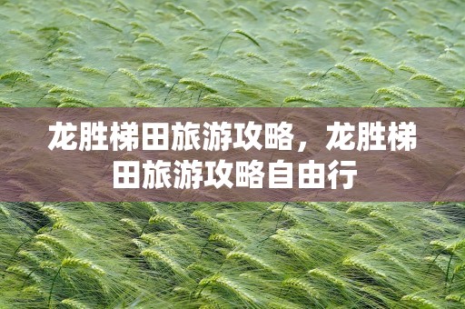 龙胜梯田旅游攻略，龙胜梯田旅游攻略自由行