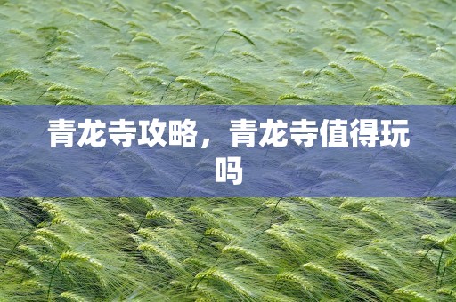 青龙寺攻略，青龙寺值得玩吗