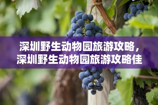 深圳野生动物园旅游攻略，深圳野生动物园旅游攻略佳线路