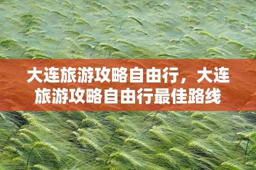大连旅游攻略自由行，大连旅游攻略自由行最佳路线