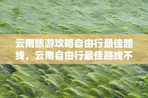 云南旅游攻略自由行最佳路线，云南自由行最佳路线不跟团
