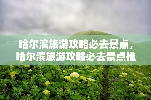 哈尔滨旅游攻略必去景点，哈尔滨旅游攻略必去景点推荐