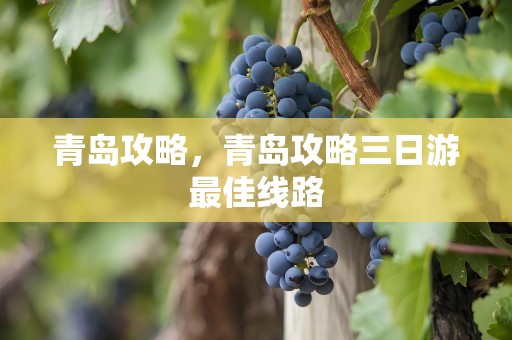 青岛攻略，青岛攻略三日游最佳线路