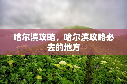 哈尔滨攻略，哈尔滨攻略必去的地方