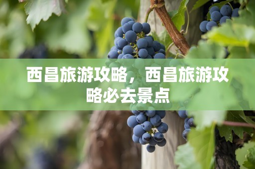 西昌旅游攻略，西昌旅游攻略必去景点