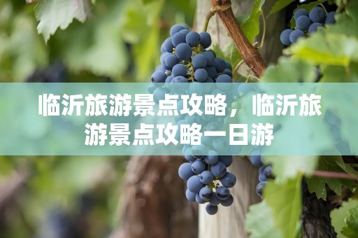 临沂旅游景点攻略，临沂旅游景点攻略一日游