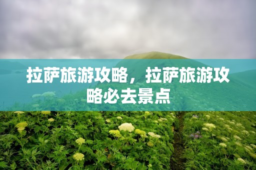 拉萨旅游攻略，拉萨旅游攻略必去景点