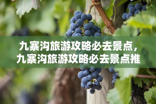 九寨沟旅游攻略必去景点，九寨沟旅游攻略必去景点推荐