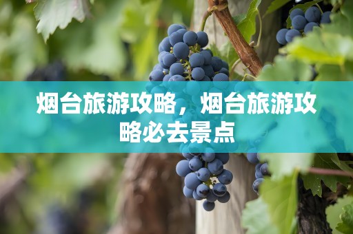 烟台旅游攻略，烟台旅游攻略必去景点