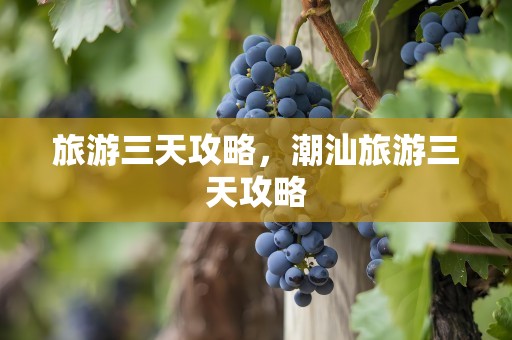 旅游三天攻略，潮汕旅游三天攻略