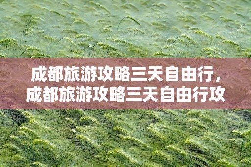 成都旅游攻略三天自由行，成都旅游攻略三天自由行攻略