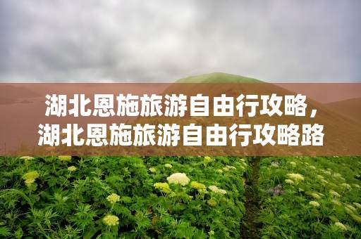 湖北恩施旅游自由行攻略，湖北恩施旅游自由行攻略路线