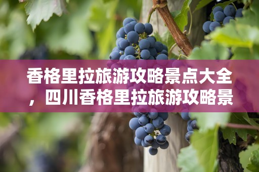 香格里拉旅游攻略景点大全，四川香格里拉旅游攻略景点大全