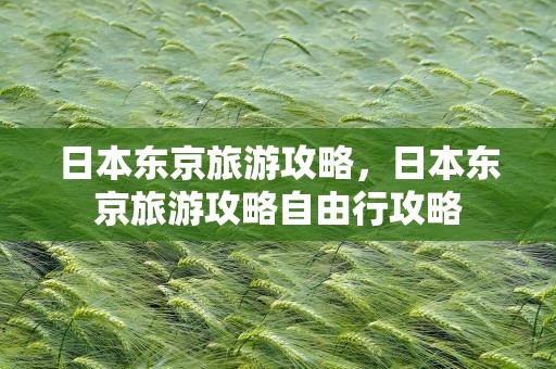 日本东京旅游攻略，日本东京旅游攻略自由行攻略