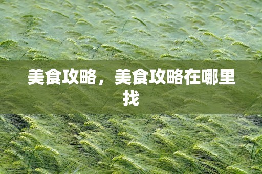 美食攻略，美食攻略在哪里找