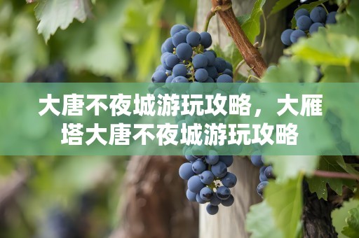 大唐不夜城游玩攻略，大雁塔大唐不夜城游玩攻略