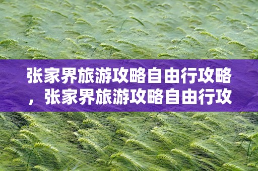 张家界旅游攻略自由行攻略，张家界旅游攻略自由行攻略门票