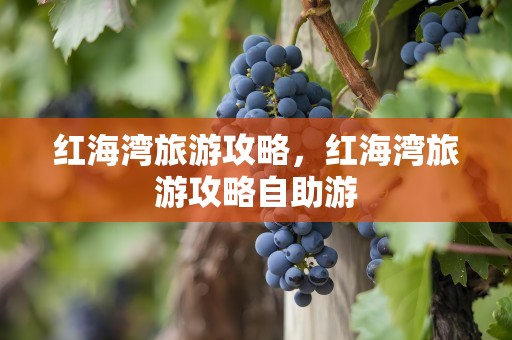 红海湾旅游攻略，红海湾旅游攻略自助游