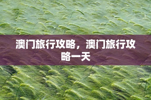 澳门旅行攻略，澳门旅行攻略一天