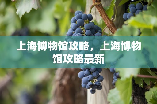 上海博物馆攻略，上海博物馆攻略最新