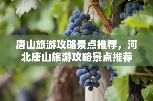 唐山旅游攻略景点推荐，河北唐山旅游攻略景点推荐