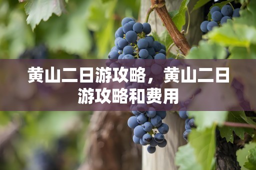 黄山二日游攻略，黄山二日游攻略和费用