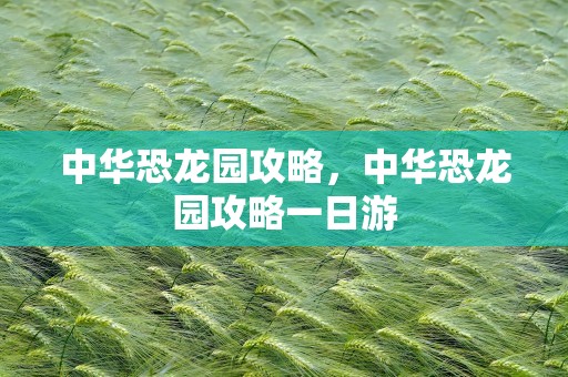 中华恐龙园攻略，中华恐龙园攻略一日游