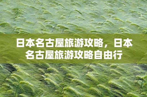 日本名古屋旅游攻略，日本名古屋旅游攻略自由行
