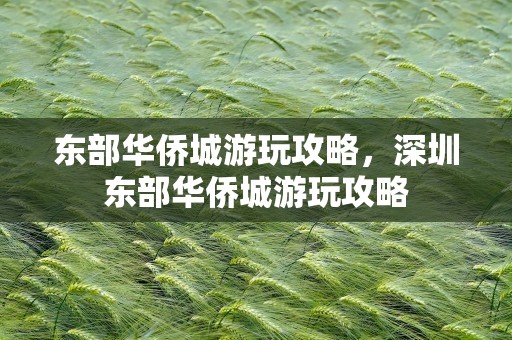 东部华侨城游玩攻略，深圳东部华侨城游玩攻略