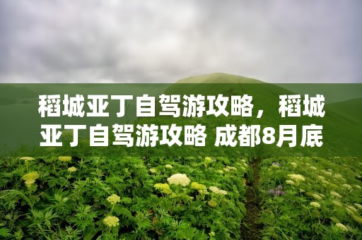 稻城亚丁自驾游攻略，稻城亚丁自驾游攻略 成都8月底