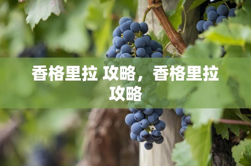 香格里拉 攻略，香格里拉攻略