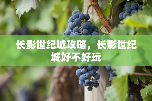 长影世纪城攻略，长影世纪城好不好玩