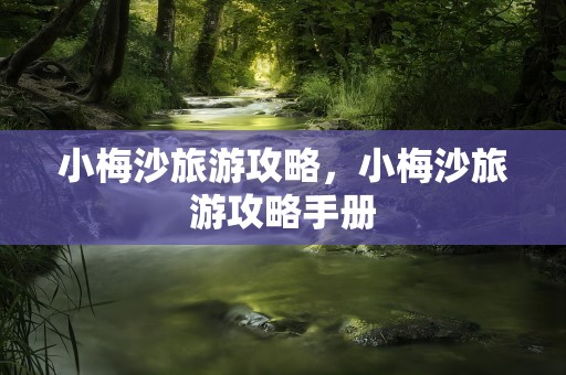 小梅沙旅游攻略，小梅沙旅游攻略手册