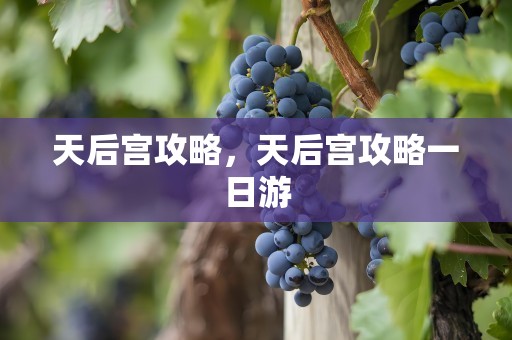 天后宫攻略，天后宫攻略一日游