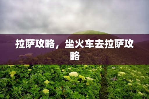 拉萨攻略，坐火车去拉萨攻略