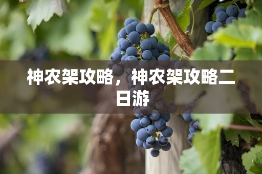 神农架攻略，神农架攻略二日游