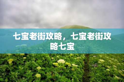 七宝老街攻略，七宝老街攻略七宝