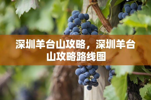 深圳羊台山攻略，深圳羊台山攻略路线图