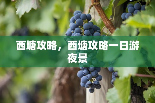 西塘攻略，西塘攻略一日游夜景