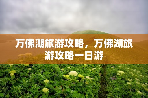 万佛湖旅游攻略，万佛湖旅游攻略一日游
