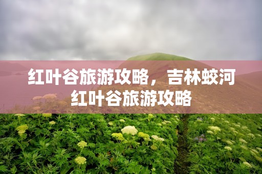 红叶谷旅游攻略，吉林蛟河红叶谷旅游攻略