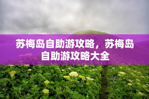 苏梅岛自助游攻略，苏梅岛自助游攻略大全