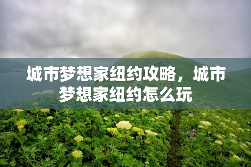 城市梦想家纽约攻略，城市梦想家纽约怎么玩