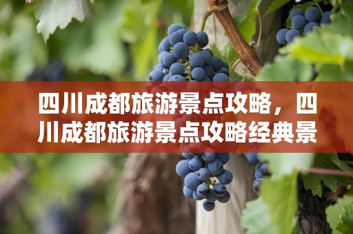 四川成都旅游景点攻略，四川成都旅游景点攻略经典景点