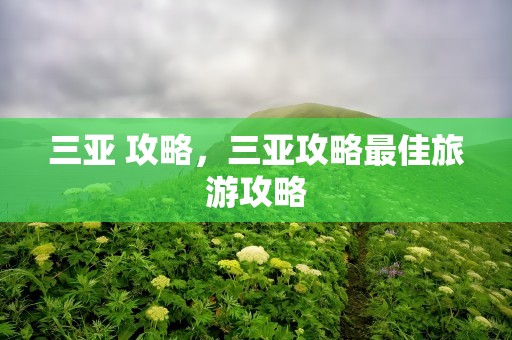 三亚 攻略，三亚攻略最佳旅游攻略
