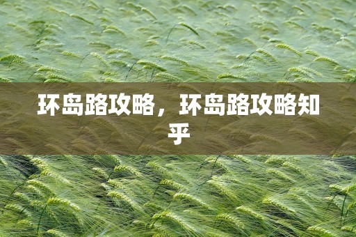 环岛路攻略，环岛路攻略知乎