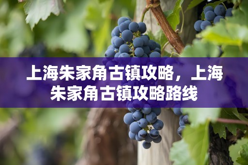 上海朱家角古镇攻略，上海朱家角古镇攻略路线