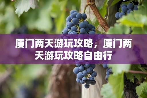 厦门两天游玩攻略，厦门两天游玩攻略自由行